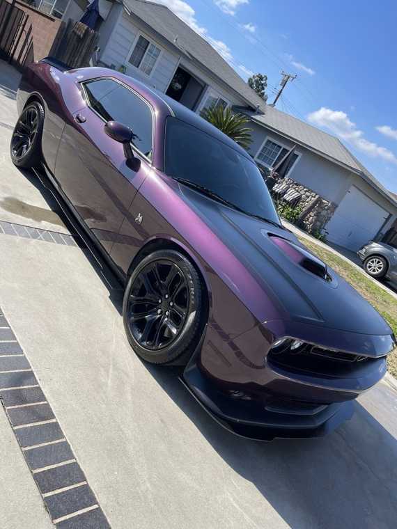 Elite Custom Detailing work 9